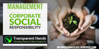 Causes Or Programs That Deserve Support From Socially Responsible Companies 