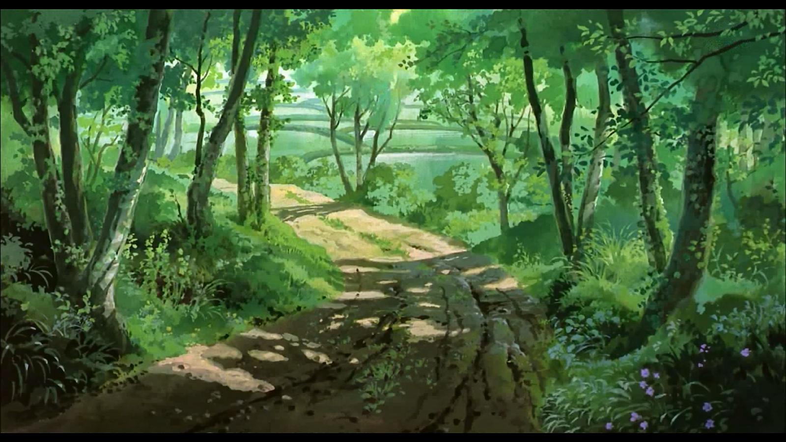 Anime Landscape: Forest (Anime Background)