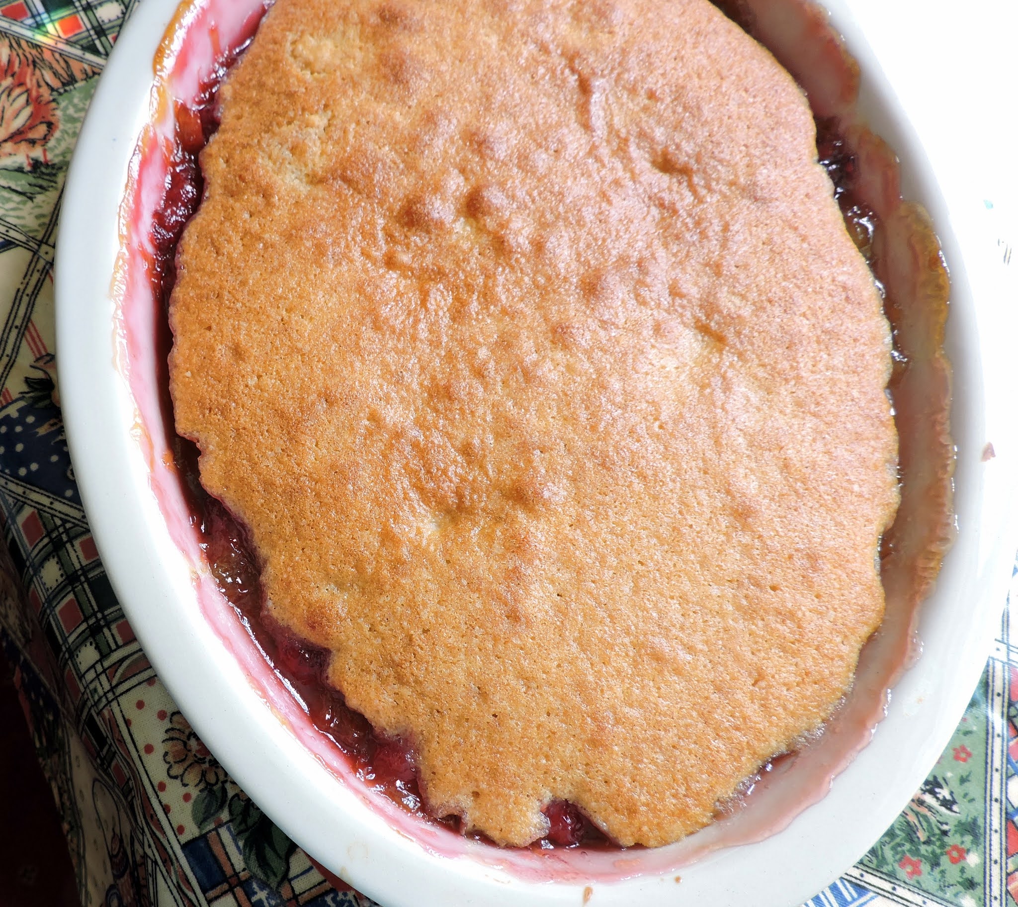 Raspberry & Rhubarb Eve's Pudding The English Kitchen