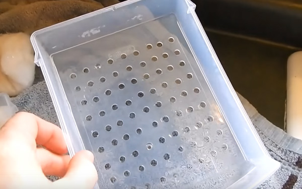 Cara Membuat Filter Aquarium Sederhana Agar Air Tetap