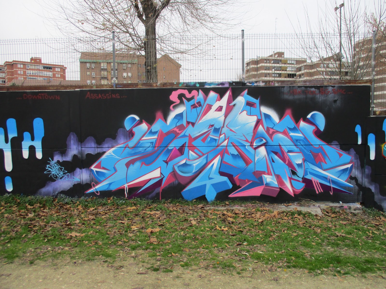 Sehu1 DOWNTOWN ASSASSINS..