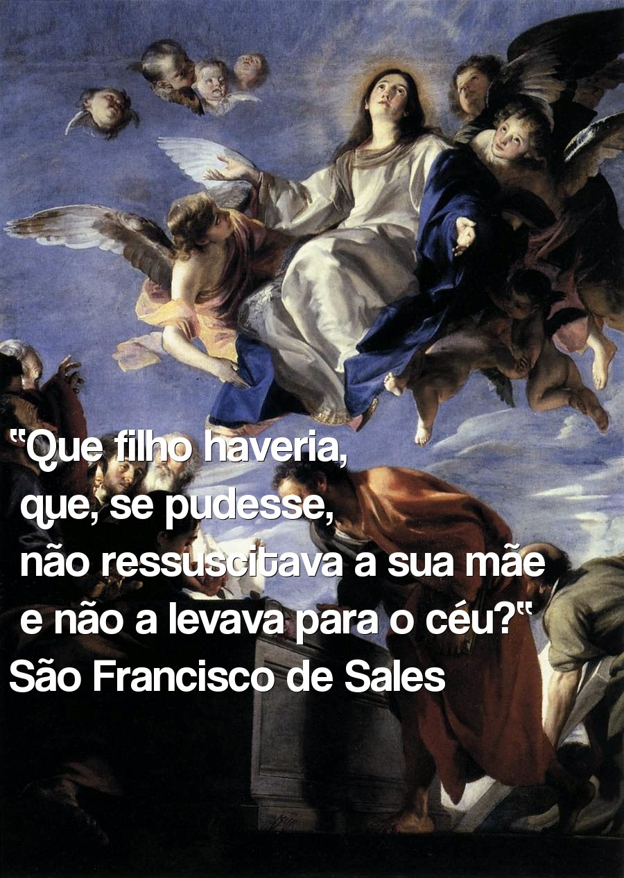 BREVIÁRIO RESPOSTA CATÓLICA A UM PROTESTANTE ONDE ESTÁ A ASSUNÇÃO DE MARIA NA BÍBLIA? BREVIÁRIO RESPOSTA CATÓLICA A UM PROTESTANTE ONDE ESTÁ A ASSUNÇÃO DE MARIA NA BÍBLIA?