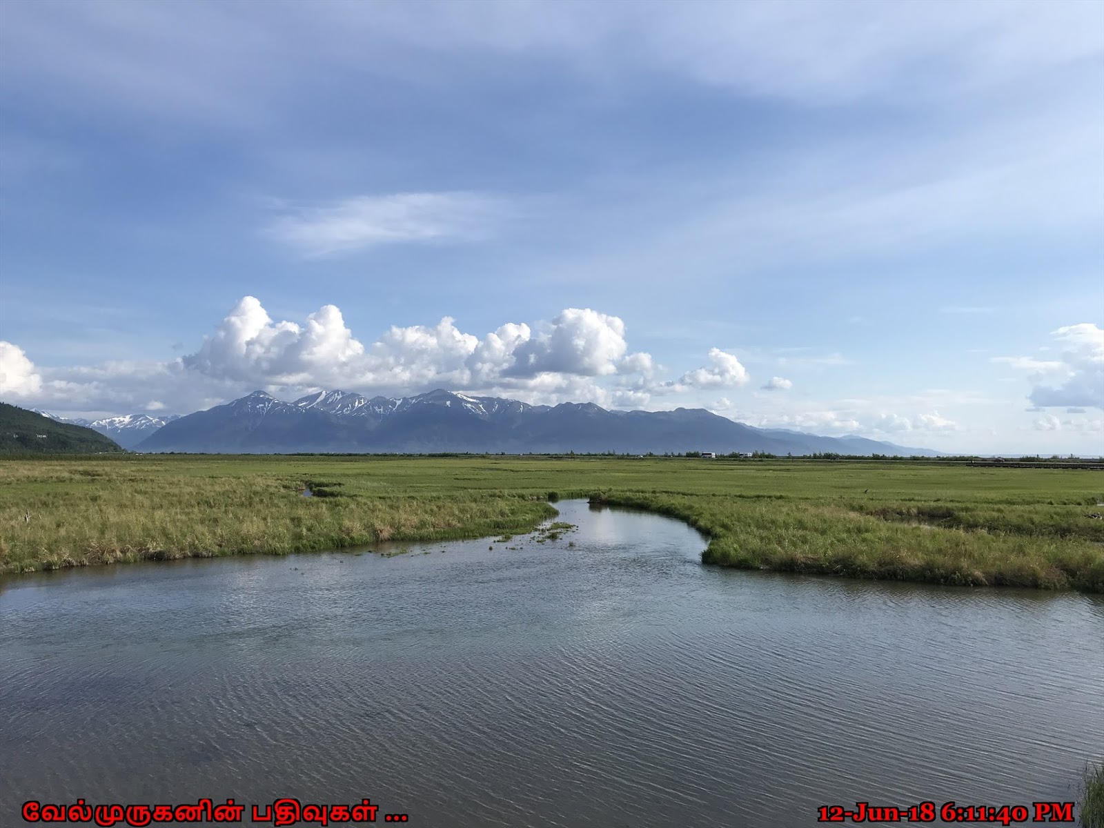 Potter Marsh Bird Sanctuary Alaska Exploring My Life