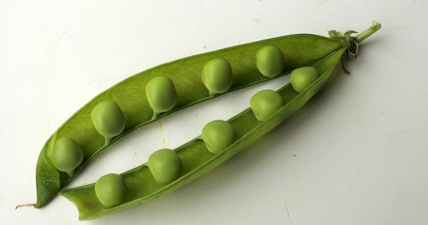 Above the River: The pea doesn't fall far from the pod