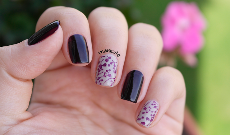 kiko 244 moyou pro collection