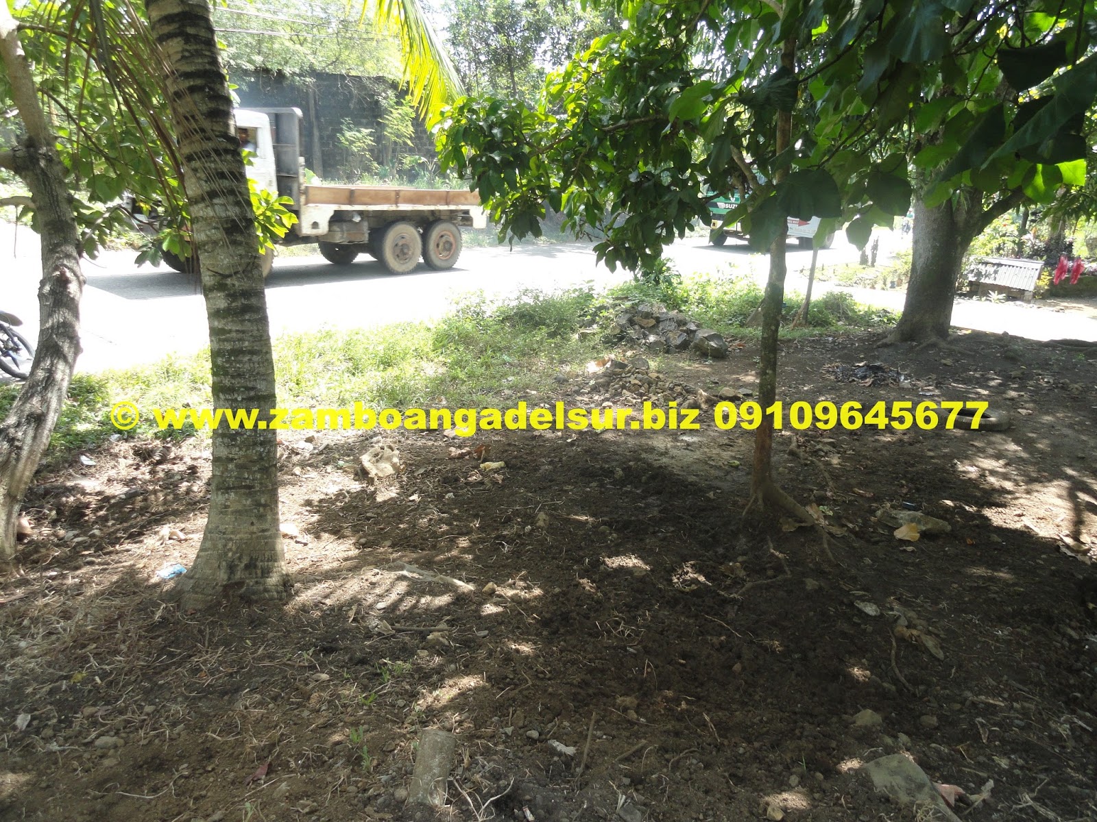 Zamboanga del Sur Properties FOR SALE 276 SQ.M. RESIDENTIAL LOT AT