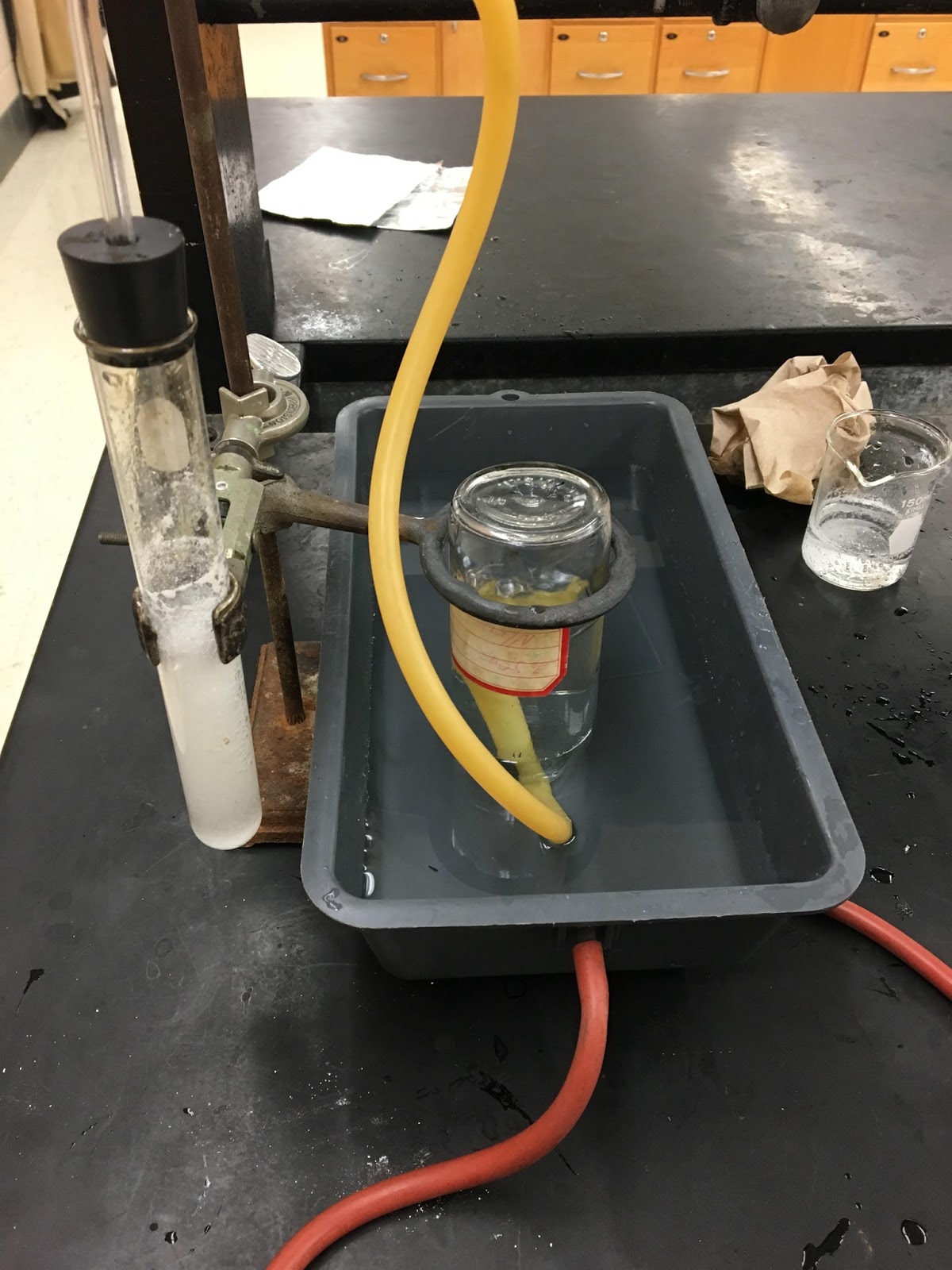Grace Wynveen Accelerated Chemistry Lab WriteUp Procedure for Density