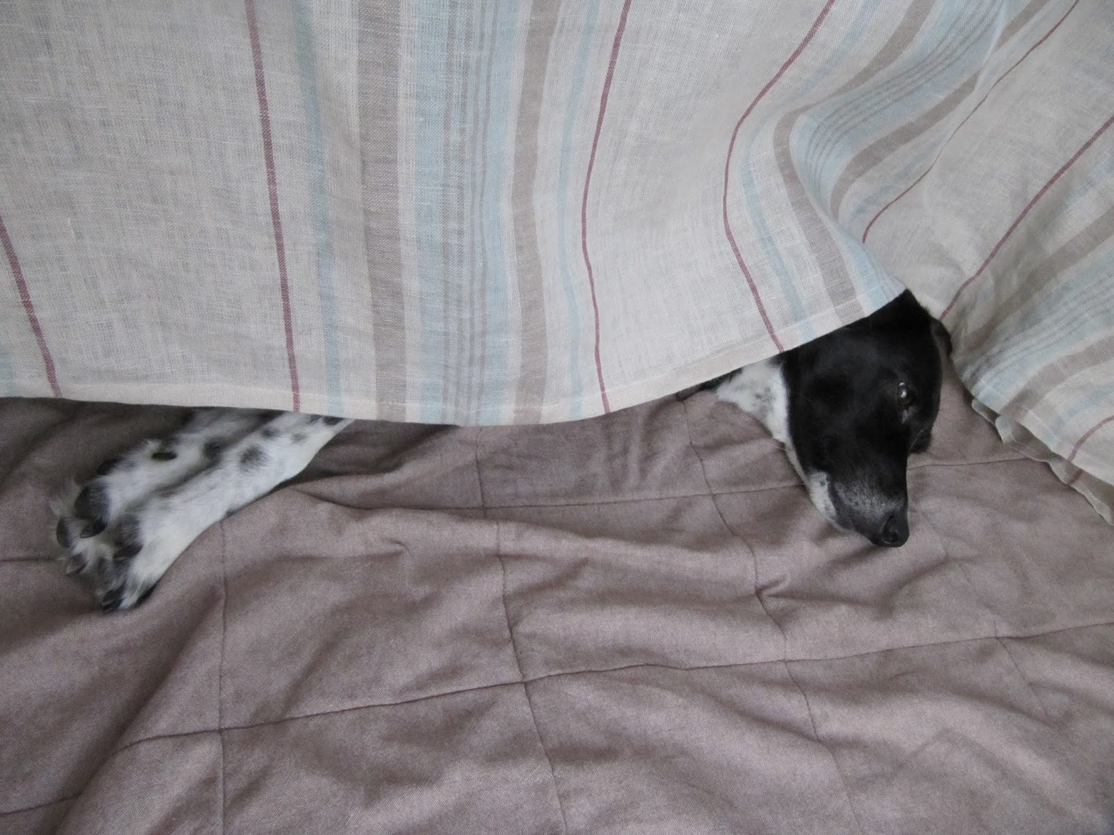 ホリーに片想い 10月 19