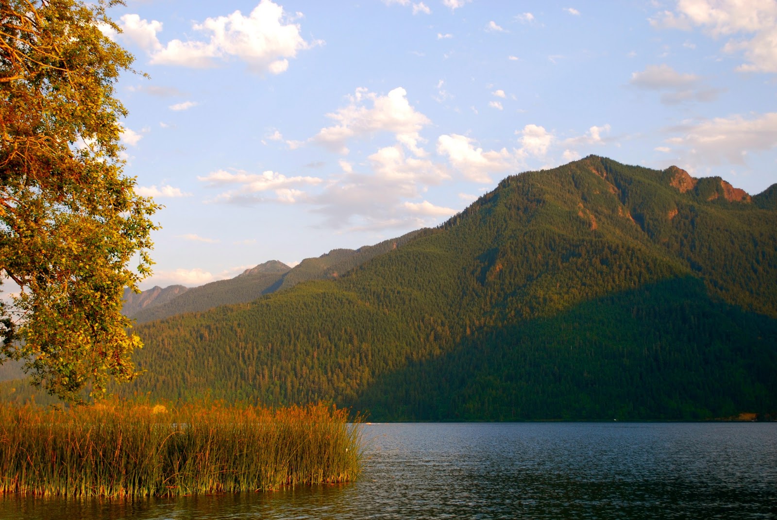 Wanderlust Traveler: Olympic National Park/Olympic Peninsula