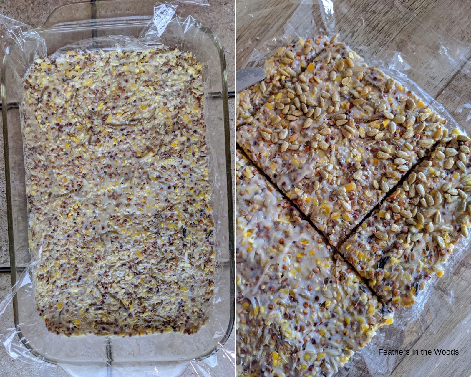 Simple bird suet recipe Feathers in the woods