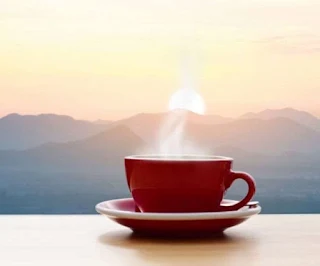 चाय पर निबंध | Essay On Tea In Hindi