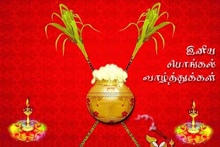 happy pongal 2021