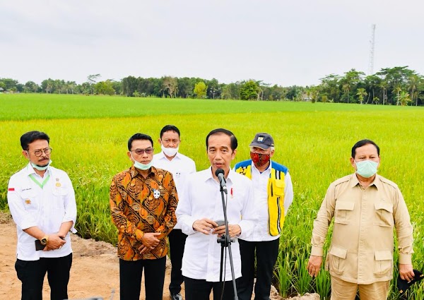 Diunggulkan Jokowi-Prabowo, Lumbung Pangan di Kalteng Terancam Gagal Panen