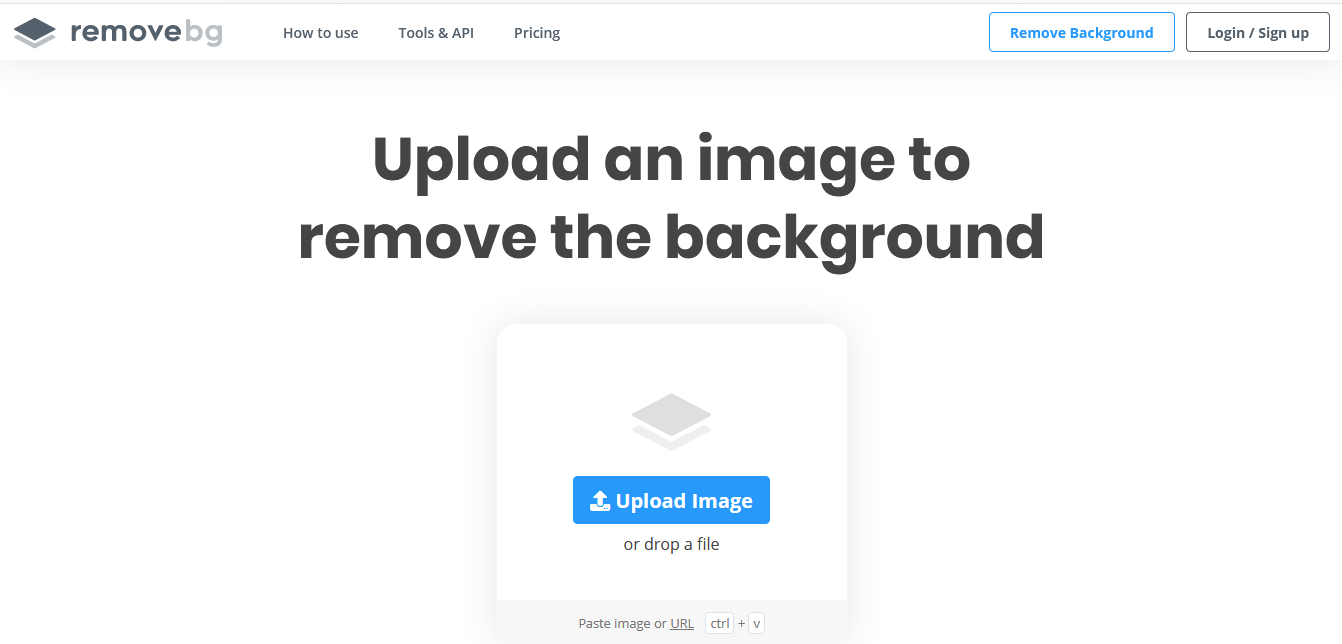 Preview of REMOVEBG website that will remove the background of the uploaded image.