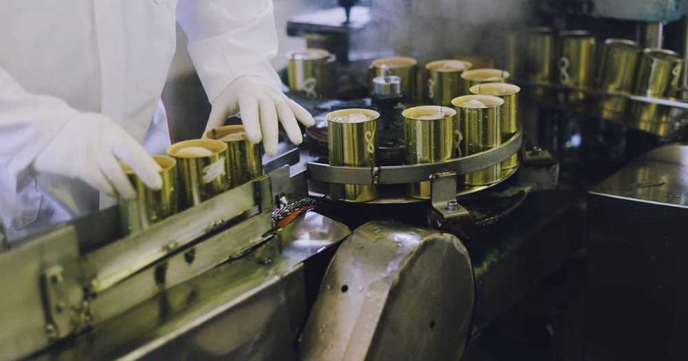 Sardine Tin Can Process and Buying Sardine Fish Indonesia, Sardine