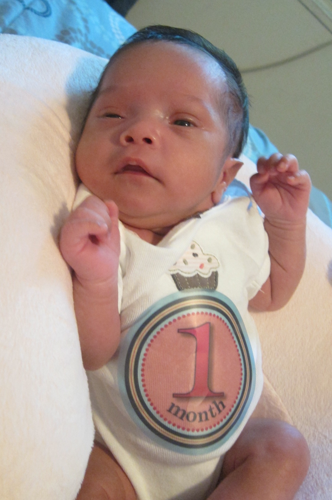 My Life Mi Vida Mi Primer