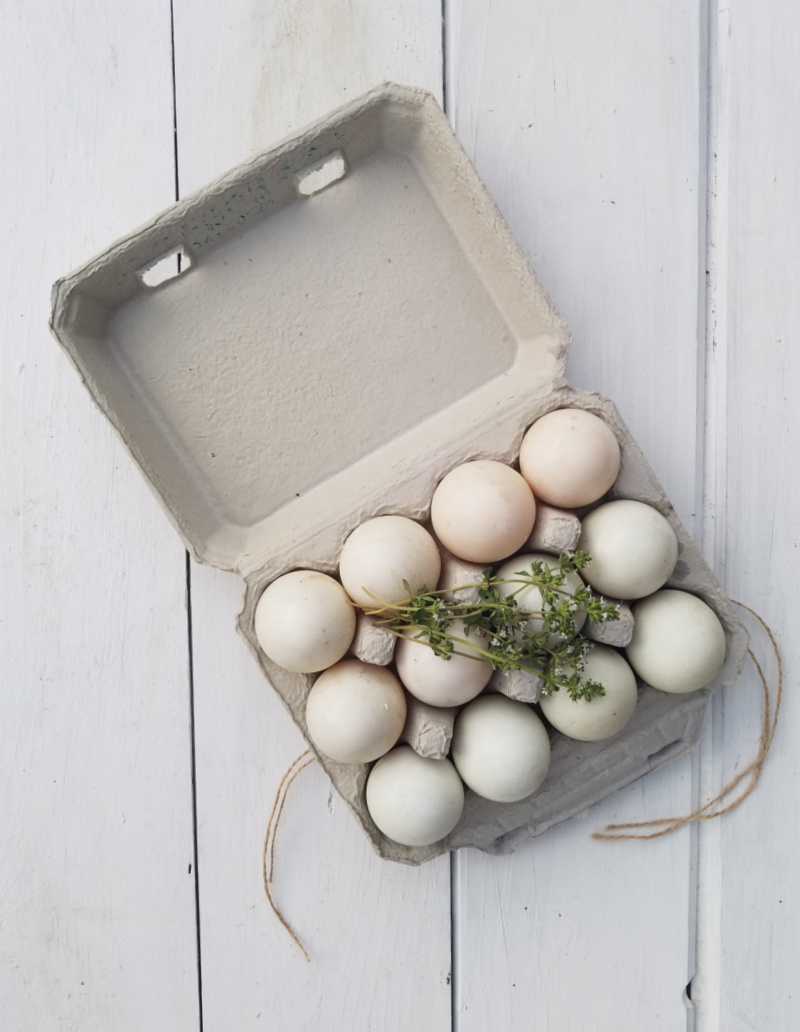 Why are Eggs Sold by the Dozen? Fresh Eggs Daily® with Lisa Steele