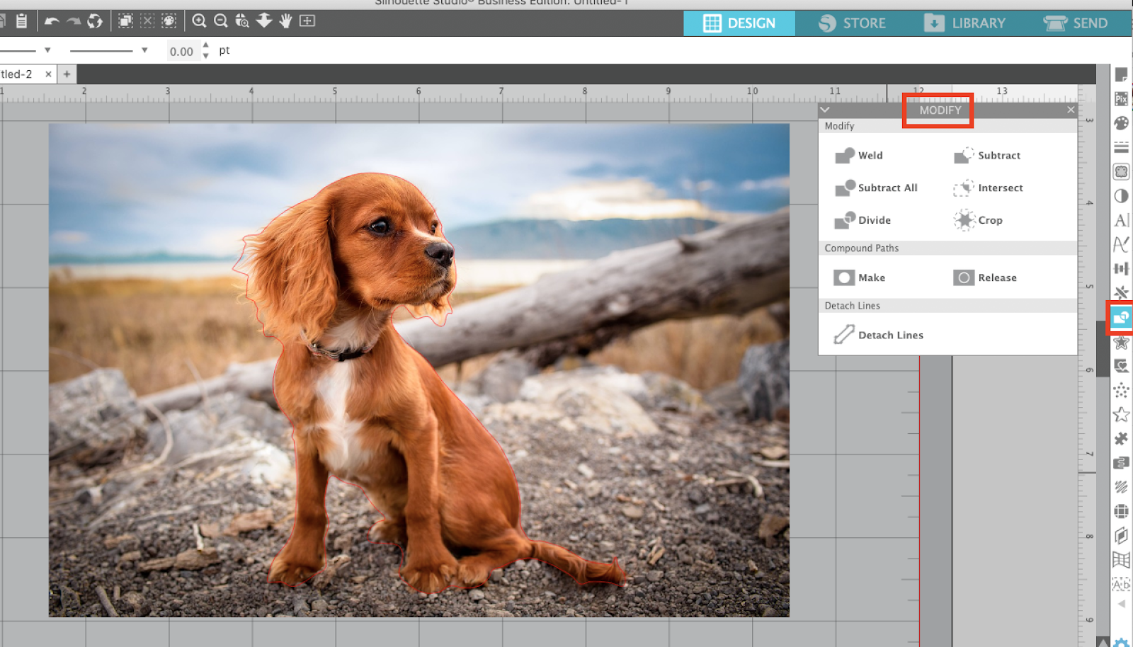 How to Remove a Photo Background in Silhouette Studio Silhouette School