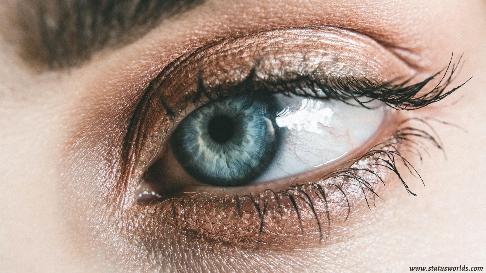 High Quality Eye Status, Captions Saying & Quotes For All People