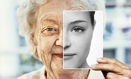 Discovery of a new compound that may fight the signs of aging