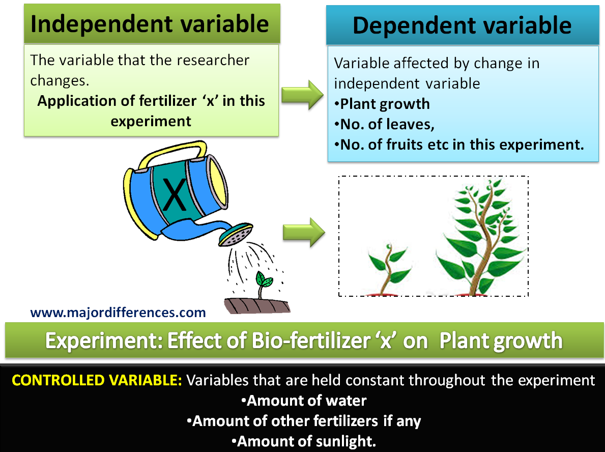 controlled variable in research