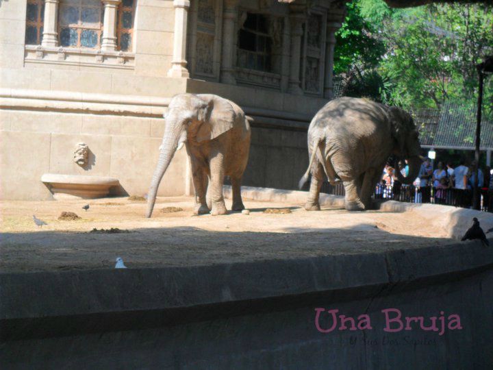adonde ir estas vacaciones