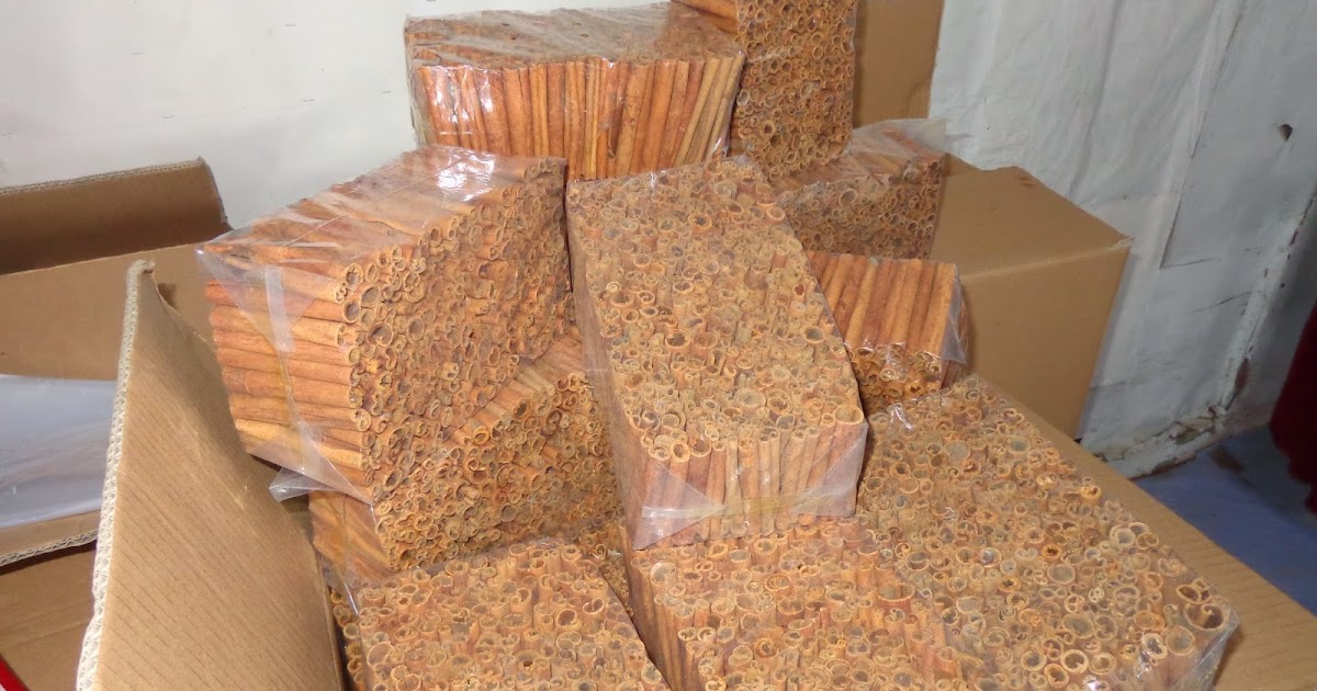 TAKTIK INDONESIA Cinnamon  kulit  kayu  manis  asli dari  