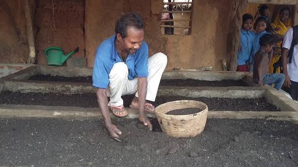 Complete information about vermicompost