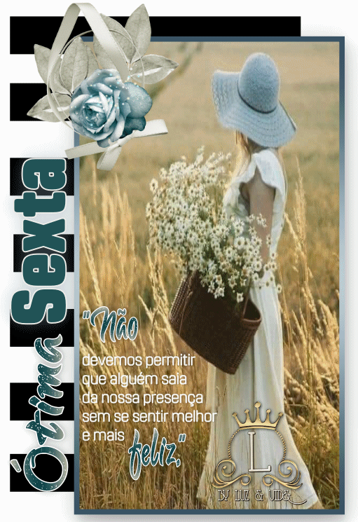 NOVO86%2B%2B%2528MB%2529maryluz.gif