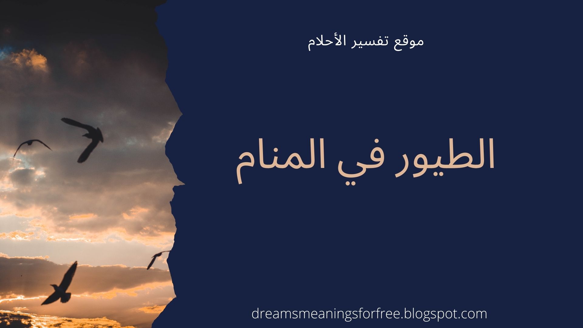 تفسير الطيور في المنام لابن سيرين