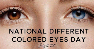 National Different Colored Eyes Day HD Pictures, Wallpapers