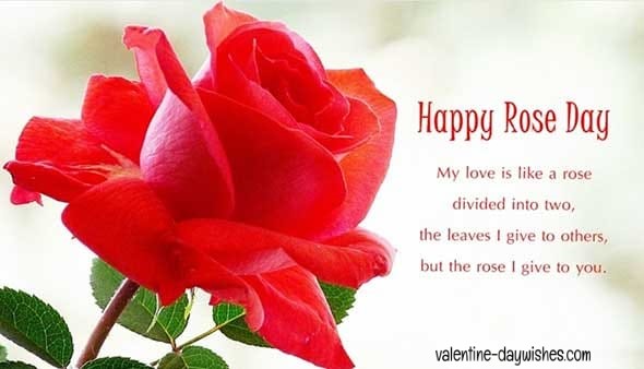 Rose day Images 2020 Rose day Images 2020