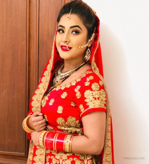 Shehnaz Kaur Gill Images, mobile wallpapers hd download, beautiful images heroines