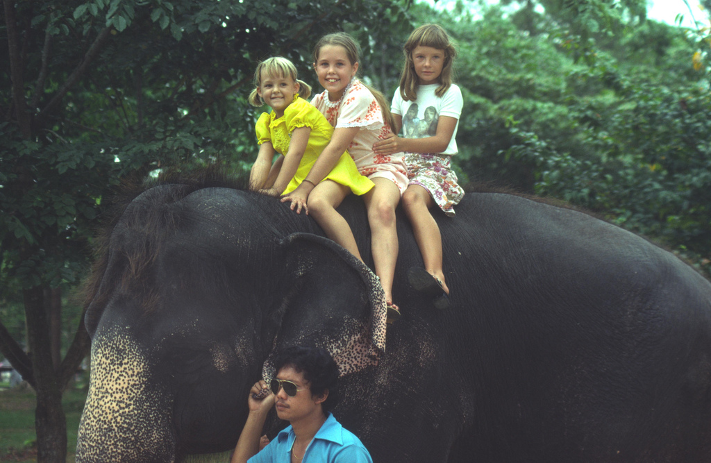 The Circus "NO SPIN ZONE" Elephant RidesSingapore Zoo