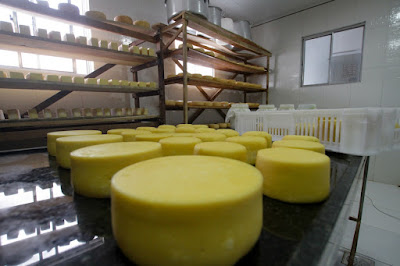 Governo de Sergipe isenta ICMS de queijo coalho e outros derivados Governo de Sergipe isenta ICMS de queijo coalho e outros derivados