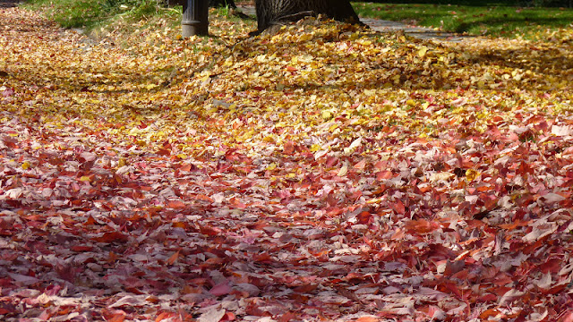 otoño en Boston