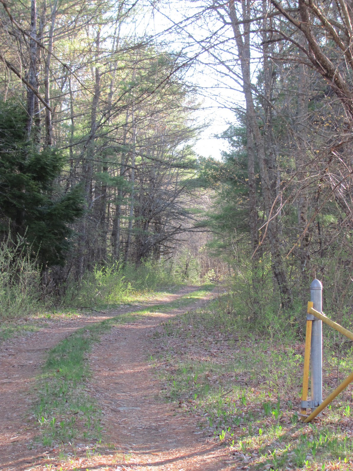Maine's Roots Buxton Powder House