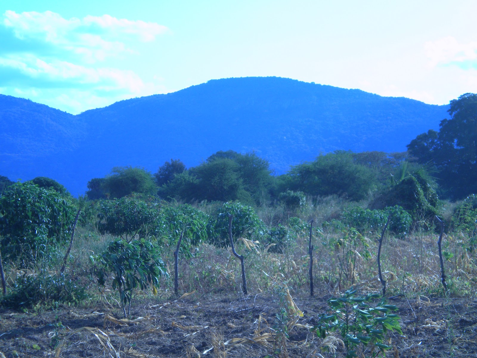 one-step-at-a-time-subsistence-farming