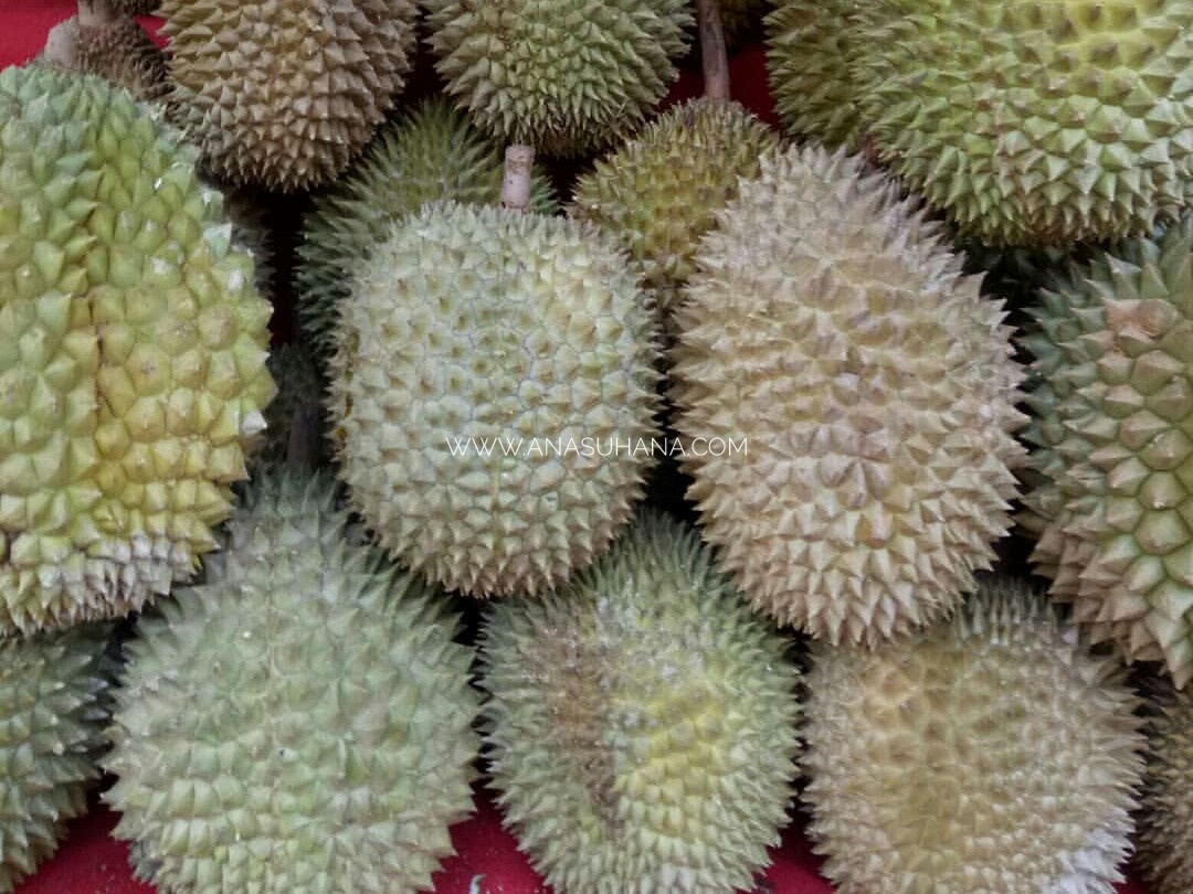 Nikmat Bila Dapat Makan Durian Nikmat Bila Dapat Makan Durian