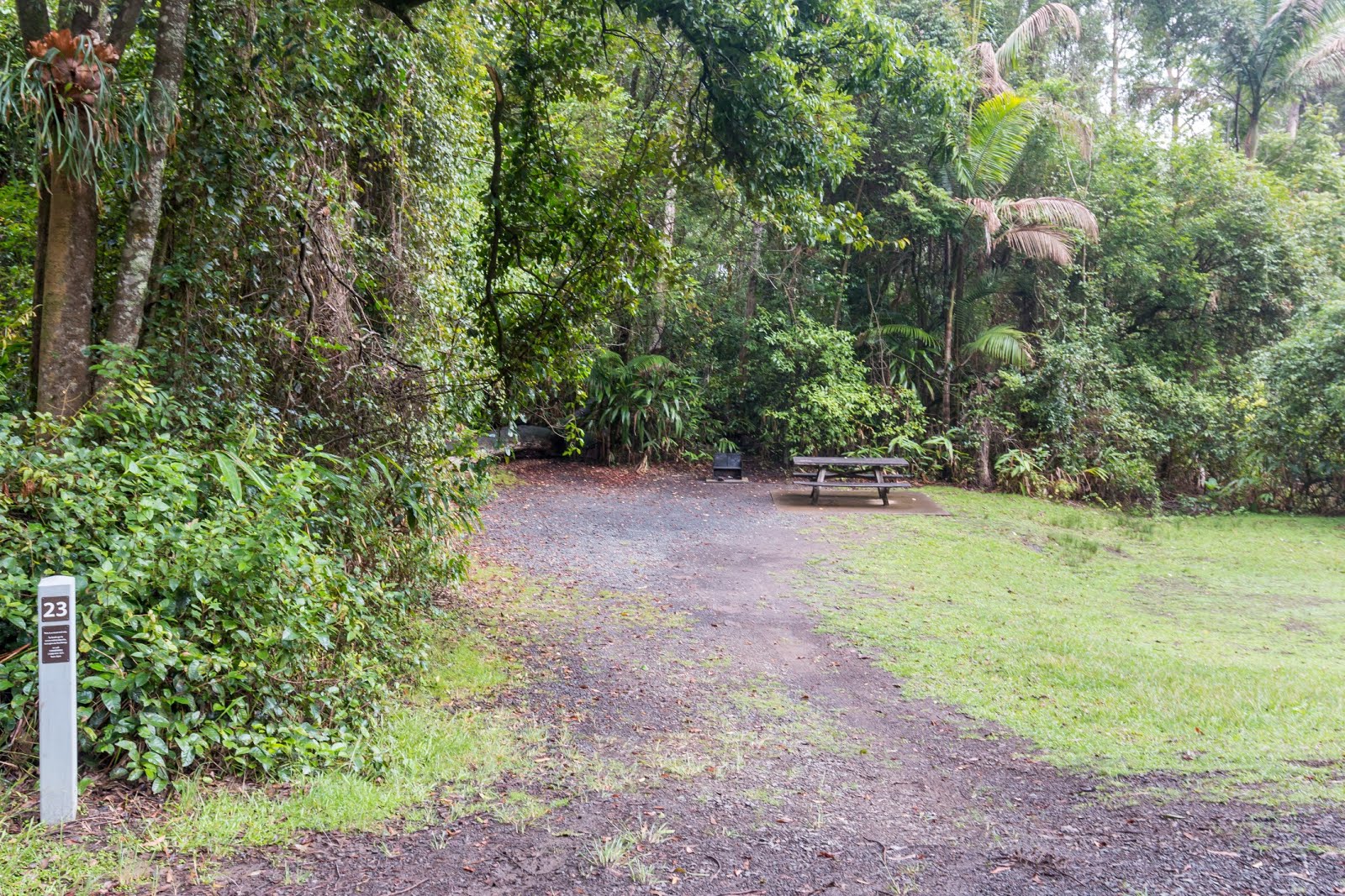 National Park Odyssey Sheepstation Creek Campground, Border Ranges National Park, NSW.
