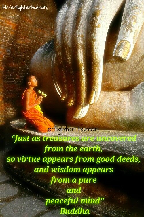 Healthcare Wellness Family Concepts Heard Melodies Are Sweet But Those Unheard Are Sweeter healthcare wellness family concepts blogger