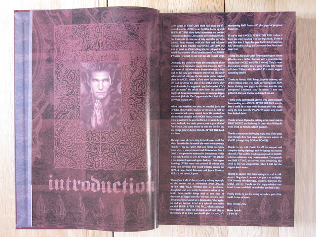 my absolute collection: Angel After The Fall Premiere Edition Vol 1