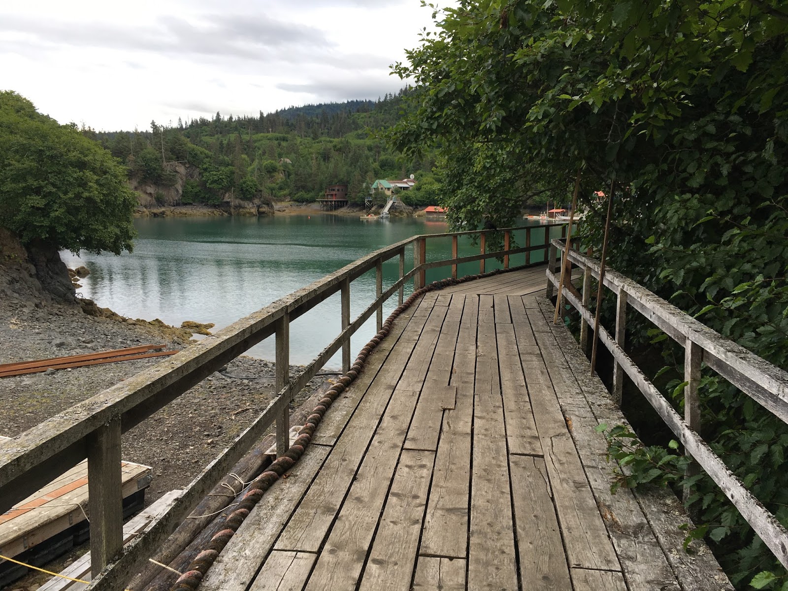 Life in Alaska — A View From Homer The Saltry and Danny JA Halibut