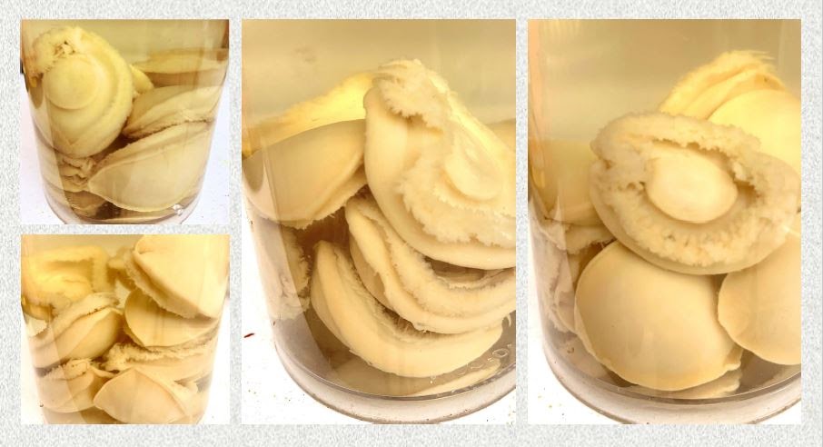 Sweetots Homemade Chinese New Year Cookies - 2021