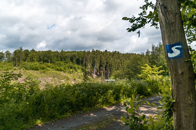 Natursteig Sieg Etappe 13 - Alsdorf - Kirchen | Wandern Naturregion Sieg 04