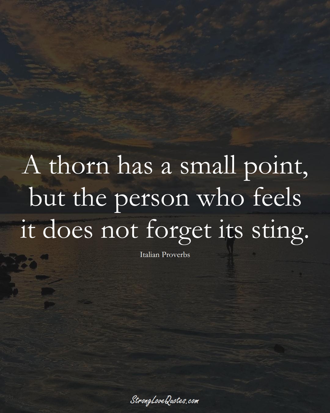 A thorn has a small point, but the person who feels it does not forget its sting. (Italian Sayings);  #EuropeanSayings