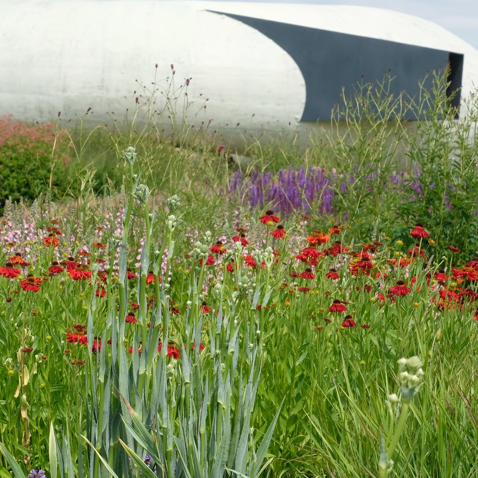 Oudolf Field en Hauser & Wirth la obra maestra de Piet Oudolf