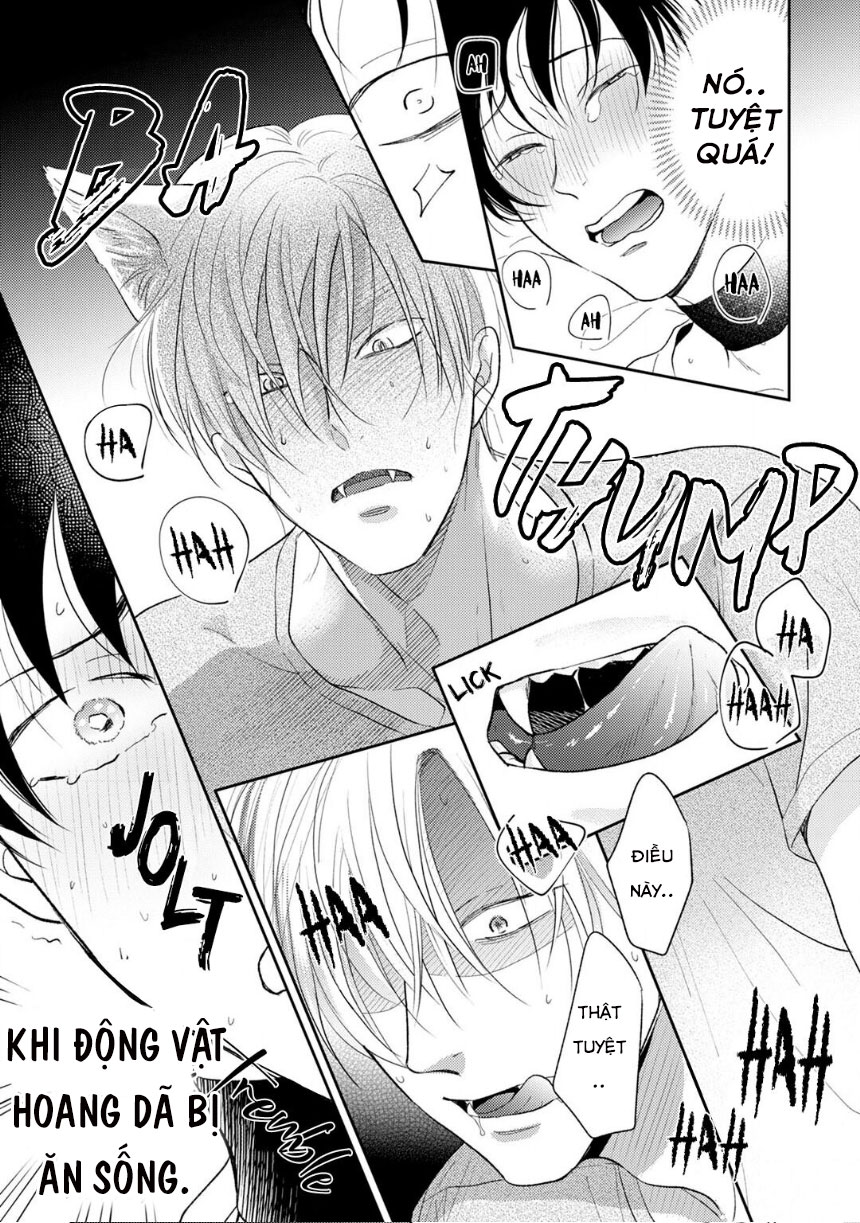 Đọc truyện To Make A Delicious Omega Squeak (Hanasawa Namio) - Chapter 1