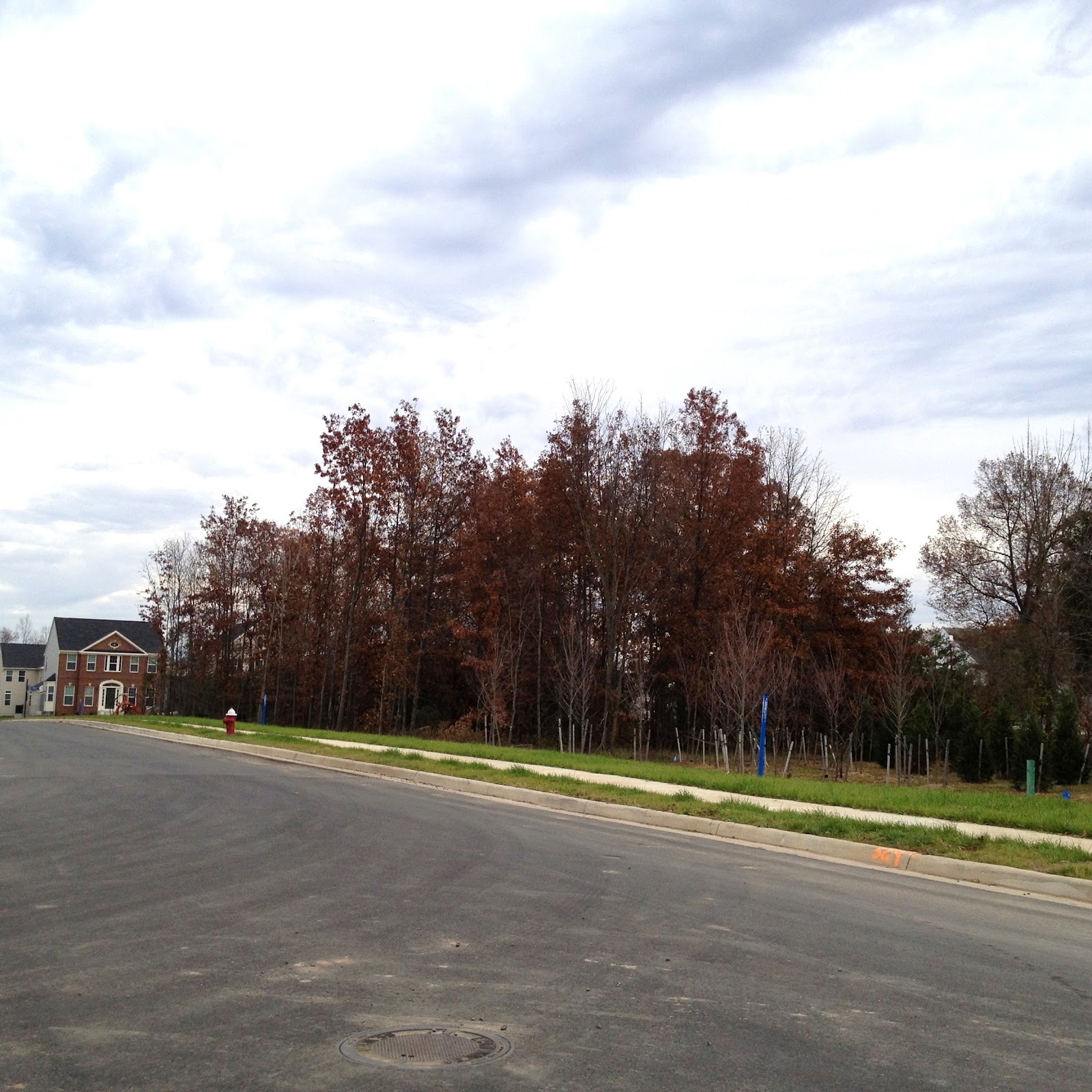Historic Wanderings Prosperity Baptist Church, Conklin, VA