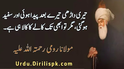 Rumi Quotes in Urdu